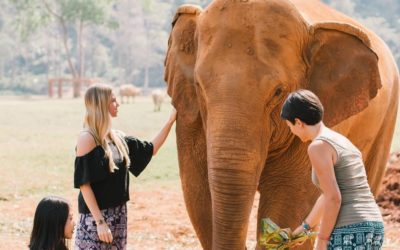 Give Back to the Environment with Elephant Pants from Thailand