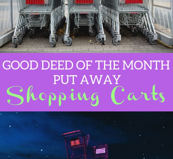 Put Shopping Carts Away